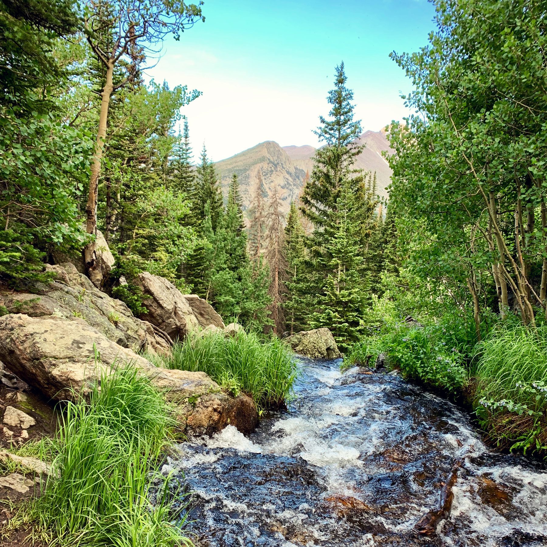Landscape — mountain stream